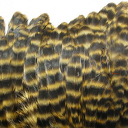 ������� ���� Hen feathers ������ ��������